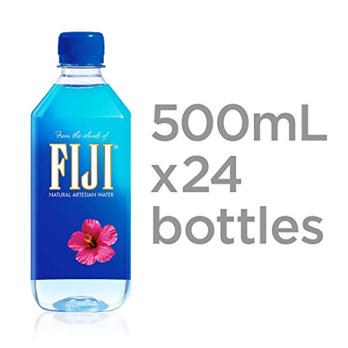 Fiji Natural Artesian Water, 16.9 Fl Oz (Pack of 24) (4 Pack)