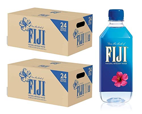 FIJI Natural Artesian Water, 16.9 Fl Oz (48 Pack)