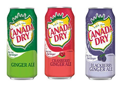 Canada Dry Variety Pack 12 oz Can