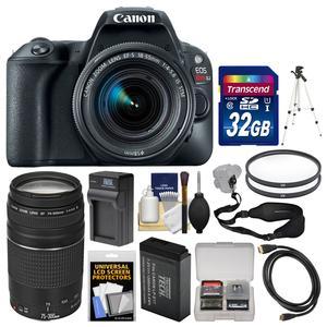 Canon Eos Rebel SL2 Wi-Fi Digital SLR Camera & EF-S 18-55mm Is STM (Black) with 75-300mm Lens + 32GB Card + Battery & Charger + Tripod + Filters Kit